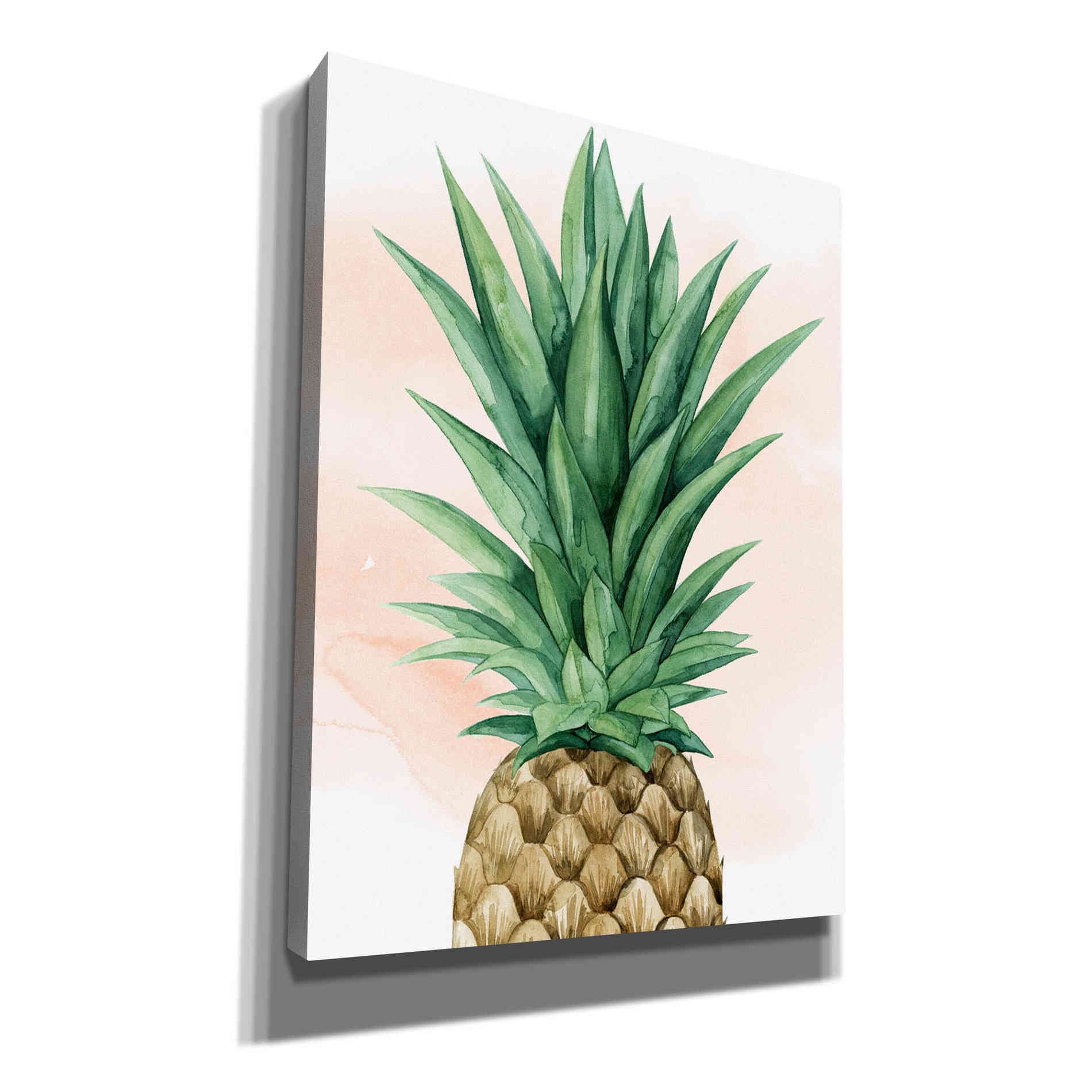'Pineapple on Coral I' by Grace Popp, Canvas Wall Art