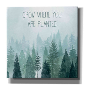 'Little Grower II' by Grace Popp, Canvas Wall Art