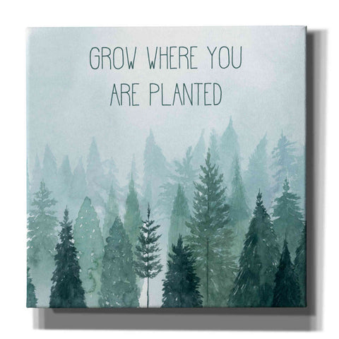Image of 'Little Grower II' by Grace Popp, Canvas Wall Art