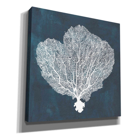 Image of 'Inverse Sea Fan I' by Grace Popp, Canvas Wall Art