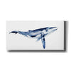 'Whale Portrait I' by Grace Popp, Canvas Wall Art