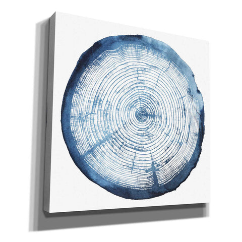 Image of 'Tree Ring Overlay I' by Grace Popp, Canvas Wall Art