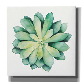 'Tropical Plant VI' by Grace Popp, Canvas Wall Art