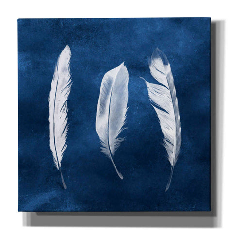 Image of 'Cyanotype Feathers II' by Grace Popp, Canvas Wall Art