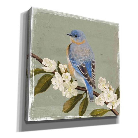 Image of 'Bluebird Branch II' by Victoria Borges, Canvas Wall Art