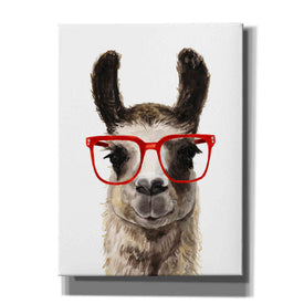 'Hip Llama I' by Victoria Borges, Canvas Wall Art