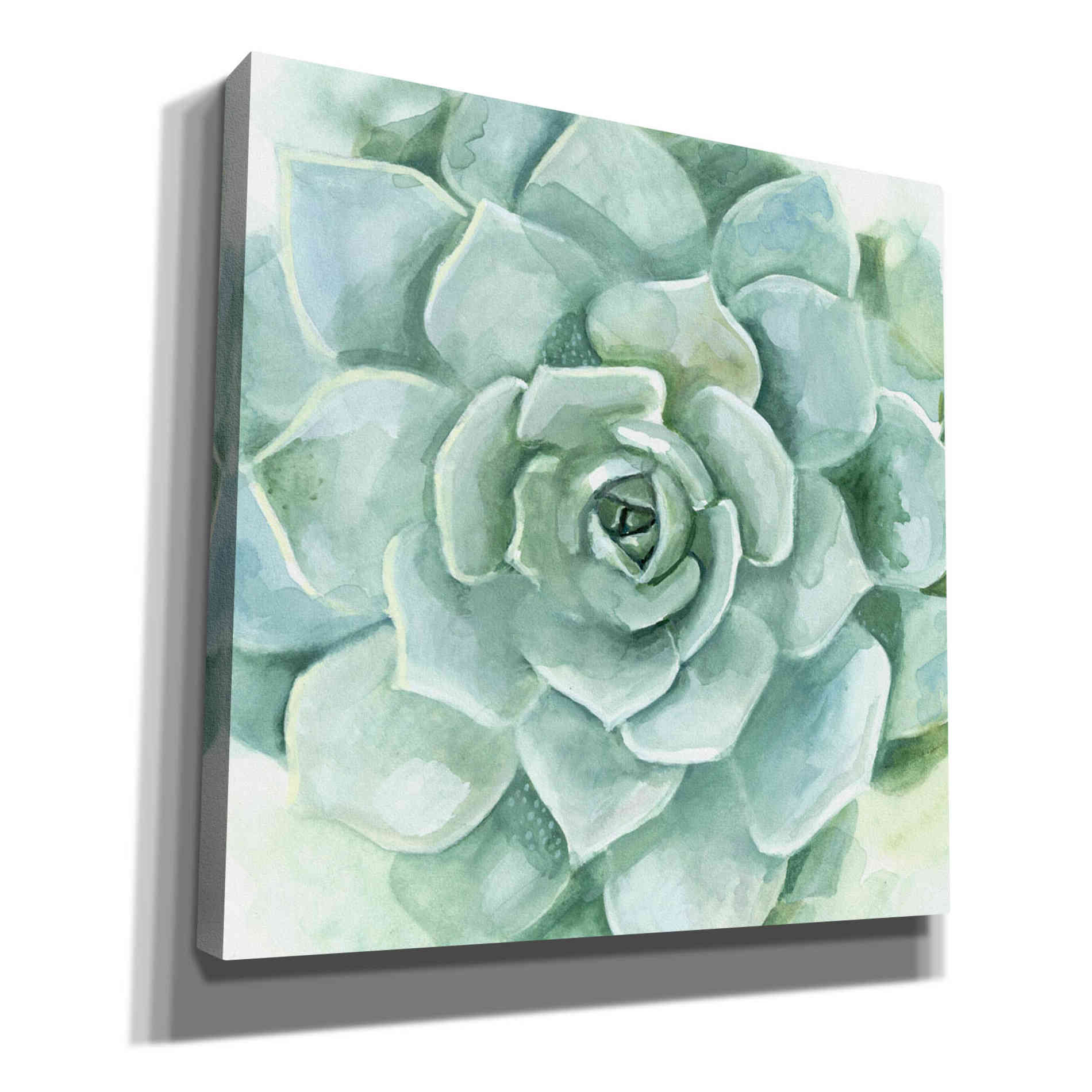 'Verdant Succulent I' by Victoria Borges, Canvas Wall Art