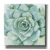 'Verdant Succulent I' by Victoria Borges, Canvas Wall Art