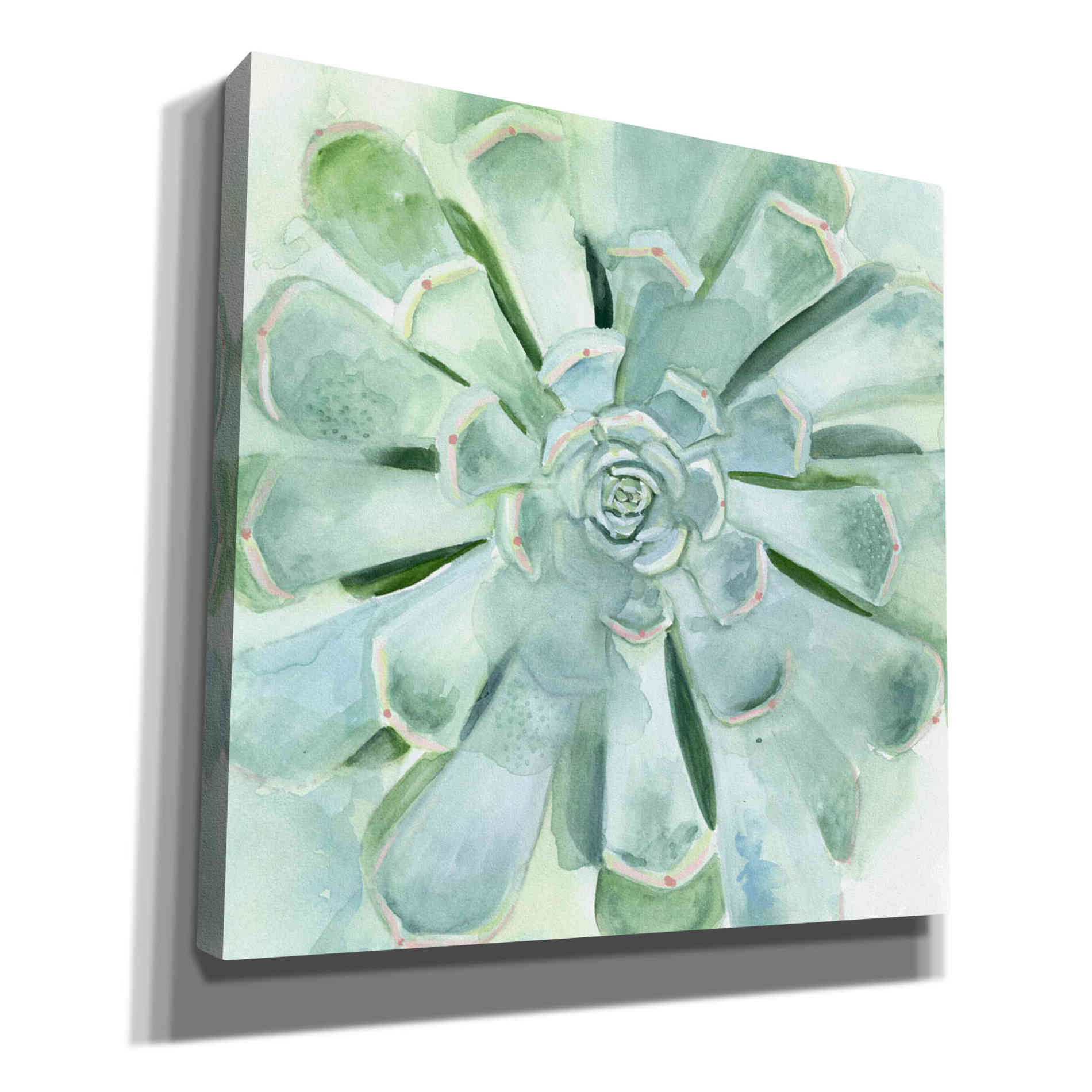 'Verdant Succulent IV' by Victoria Borges, Canvas Wall Art