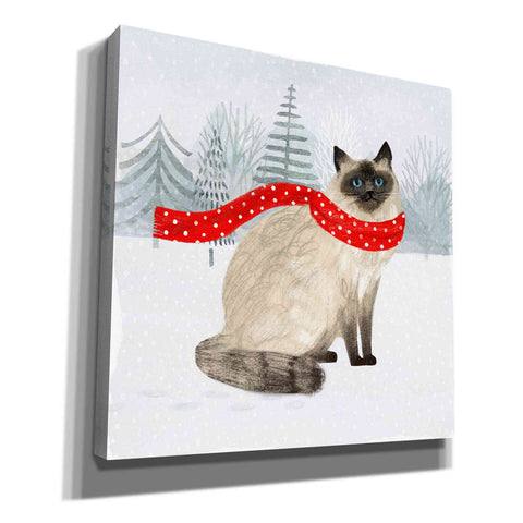 Image of 'Christmas Cats & Dogs III' by Victoria Borges, Canvas Wall Art