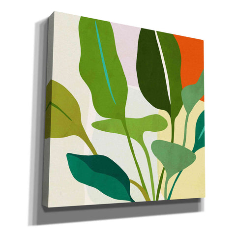 Image of 'Tropica II' by Victoria Borges, Canvas Wall Art