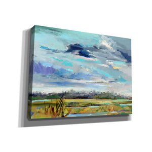 'Marsh Skies' by Carol Hallock, Canvas Wall Art