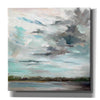 'Cloudy Days Don't Get Me Down' by Carol Hallock, Canvas Wall Art