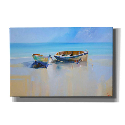 Image of 'Afternoon Gulls' by Craig Trewin Penny, Canvas Wall Art