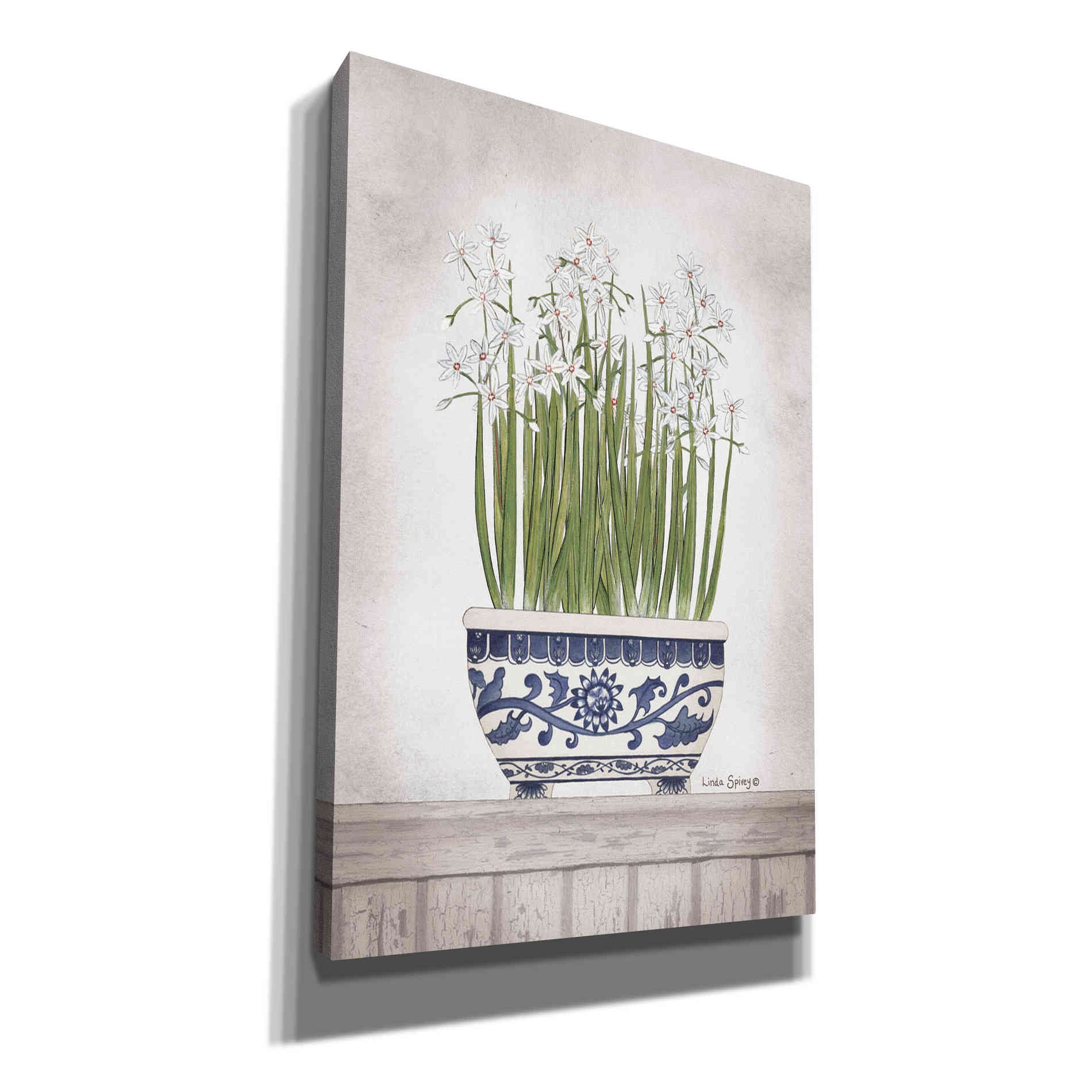 'Blue and White Paperwhites II' by Linda Spivey, Canvas Wall Art