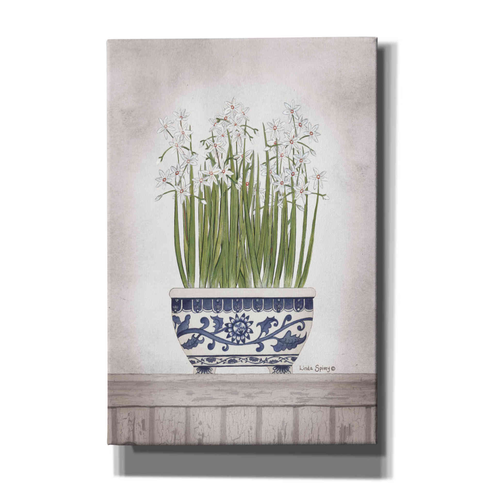 'Blue and White Paperwhites II' by Linda Spivey, Canvas Wall Art