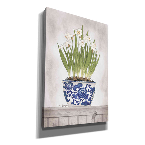 Image of 'Blue and White Daffodils II' by Linda Spivey, Canvas Wall Art