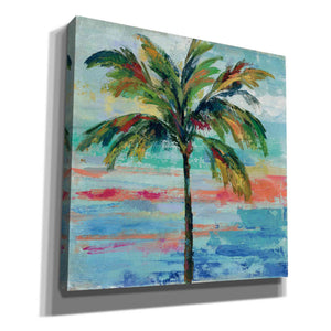 'California Palm II' by Silvia Vassileva, Canvas Wall Art,Size 1 Square