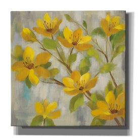 'Golden Bloom I' by Silvia Vassileva, Canvas Wall Art,Size 1 Square