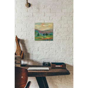 'Summer Hues' by Silvia Vassileva, Canvas Wall Art,12 x 12
