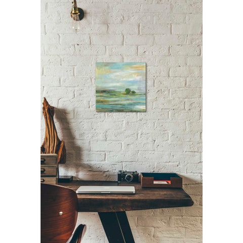 Image of 'Spring' by Silvia Vassileva, Canvas Wall Art,12 x 12