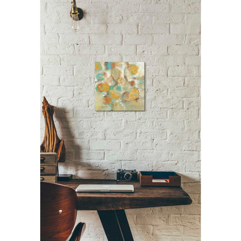 Image of 'Sunshine Reflections' by Silvia Vassileva, Canvas Wall Art,12 x 12