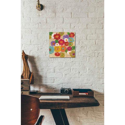 Image of 'Bohemian Bouquet II' by Silvia Vassileva, Canvas Wall Art,12 x 12