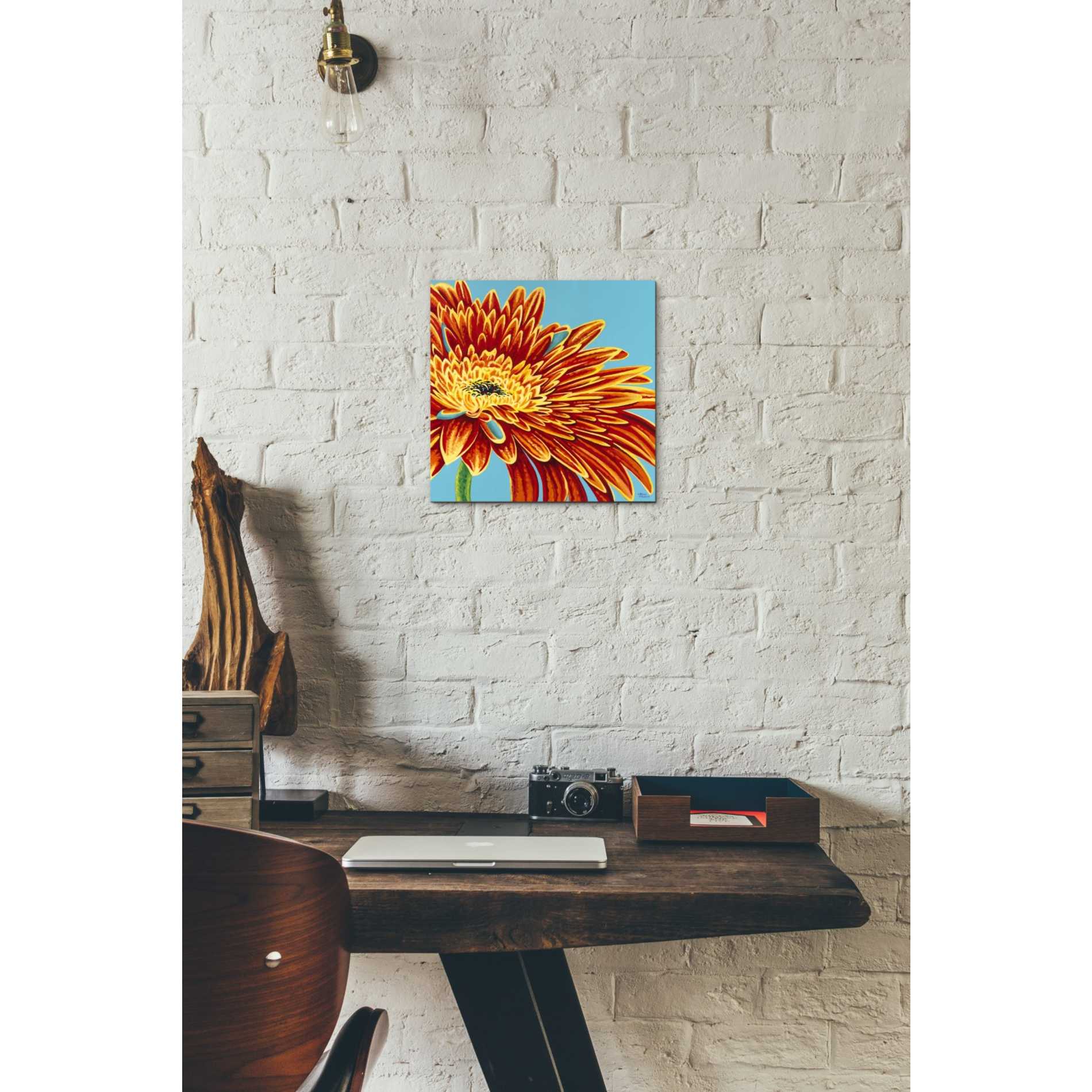 'Color Bursts I' by Carolee Vitaletti, Giclee Canvas Wall Art