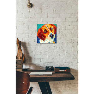 'Dogs in Color II' by Carolee Vitaletti, Giclee Canvas Wall Art