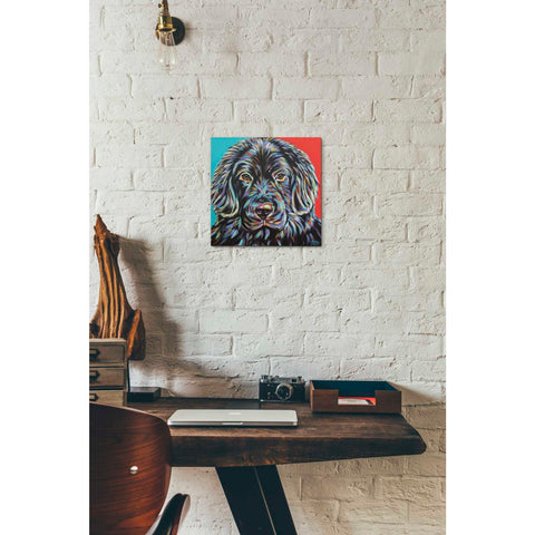 Image of 'Canine Buddy I' by Carolee Vitaletti, Giclee Canvas Wall Art