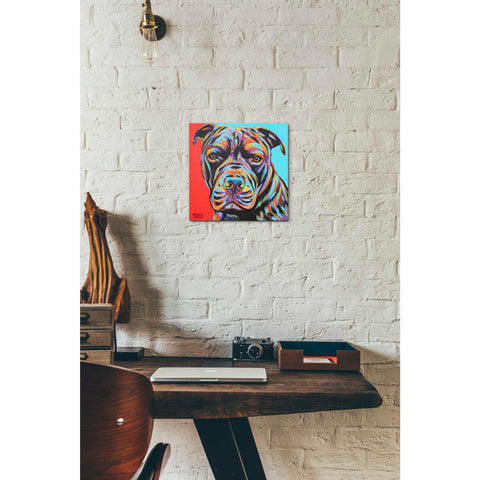 Image of 'Canine Buddy III' by Carolee Vitaletti, Giclee Canvas Wall Art