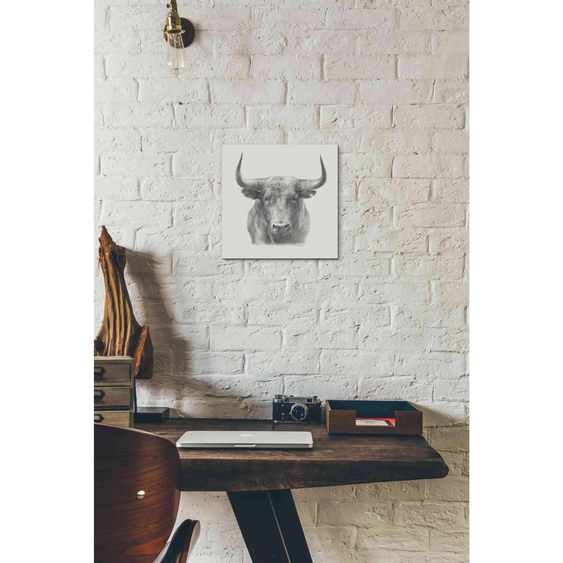 'Black Bull' by Ethan Harper, Canvas Wall Art,12 x 12