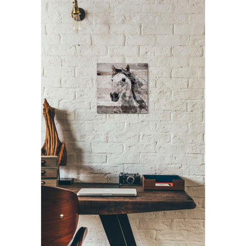 Image of 'Sparkle Horse 4' by Irena Orlov, Canvas Wall Art,12 x 12