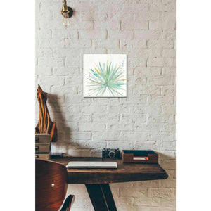 'Palm Passion V' by Anne Tavoletti, Canvas Wall Art,12 x 12