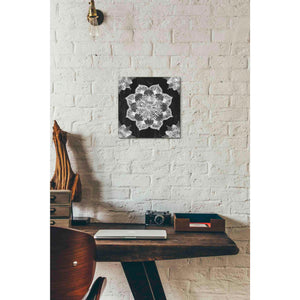 'Mandala Morning V Black and White' by Anne Tavoletti, Canvas Wall Art,12 x 12