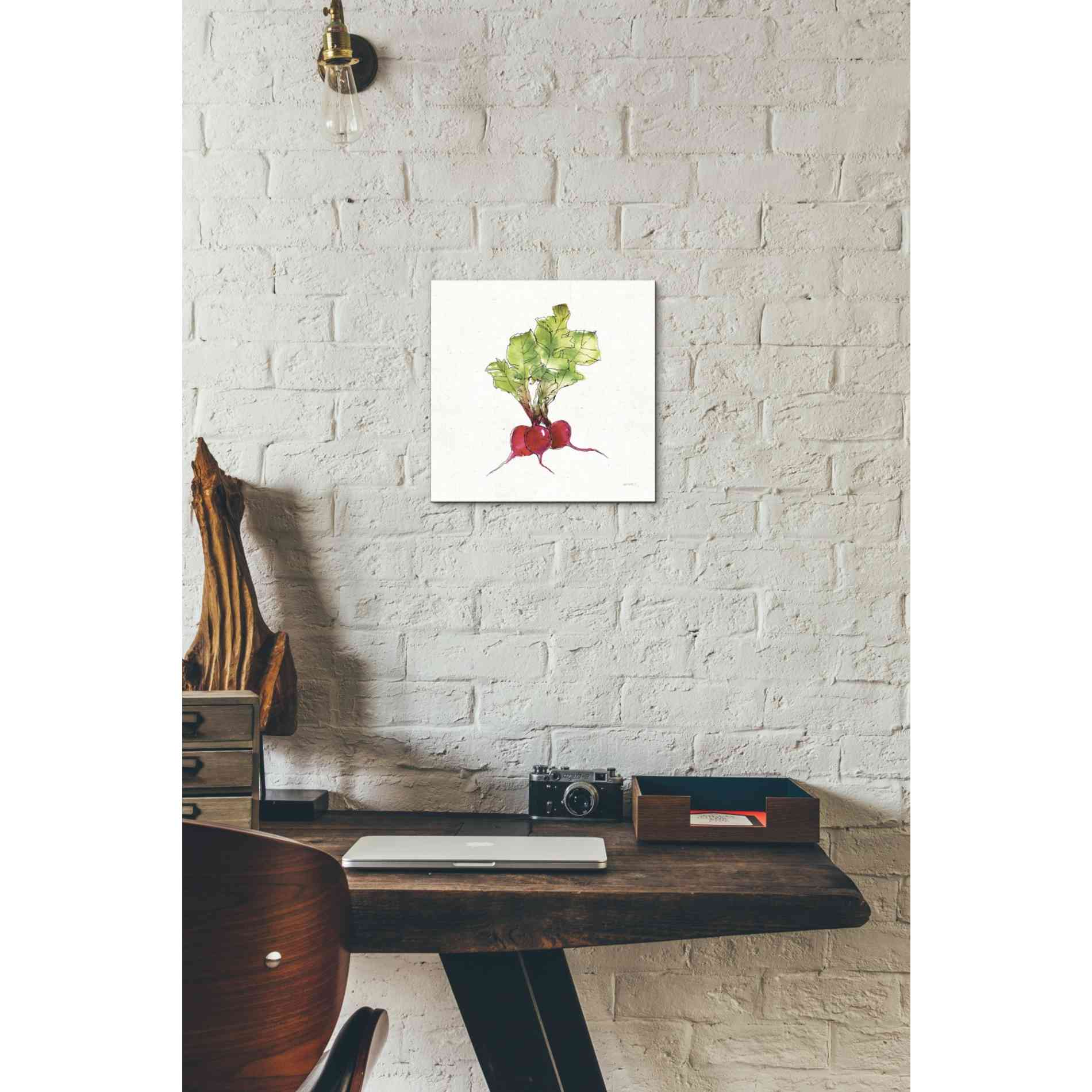 'Veggie Market II Radish' by Anne Tavoletti, Canvas Wall Art,12 x 12