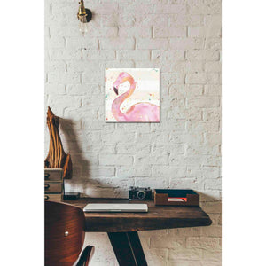 'Flamingo Fever III' by Anne Tavoletti, Canvas Wall Art,12 x 12