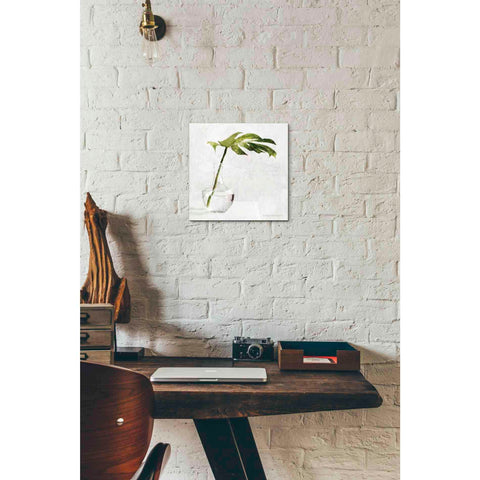 Image of 'Single Green Stem in Glass' by Bluebird Barn, Canvas Wall Art,12 x 12