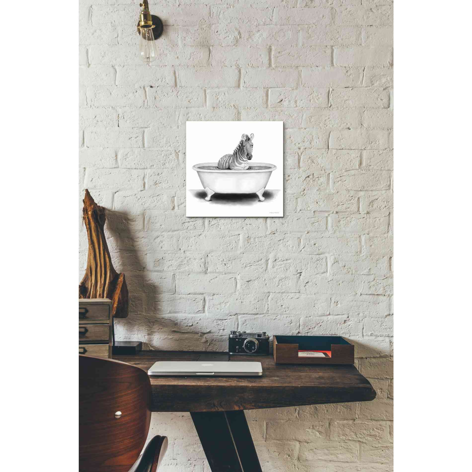 'Zebra in Tub' by Rachel Nieman, Canvas Wall Art,12 x 12