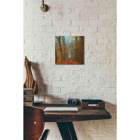 Image of 'Path of The Mystics' by Lars van de Goor, Giclee Canvas Wall Art