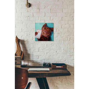 'Dog Selfie' by Lucia Heffernan, Canvas Wall Art,12 x 12