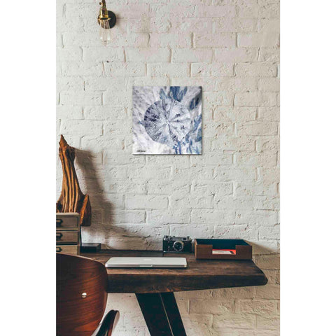 Image of 'Ocean Collection 2' by Stellar Design Studio, Canvas Wall Art,12 x 12