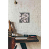 'Floral in Gray 1' by Stellar Design Studio, Canvas Wall Art,12 x 12