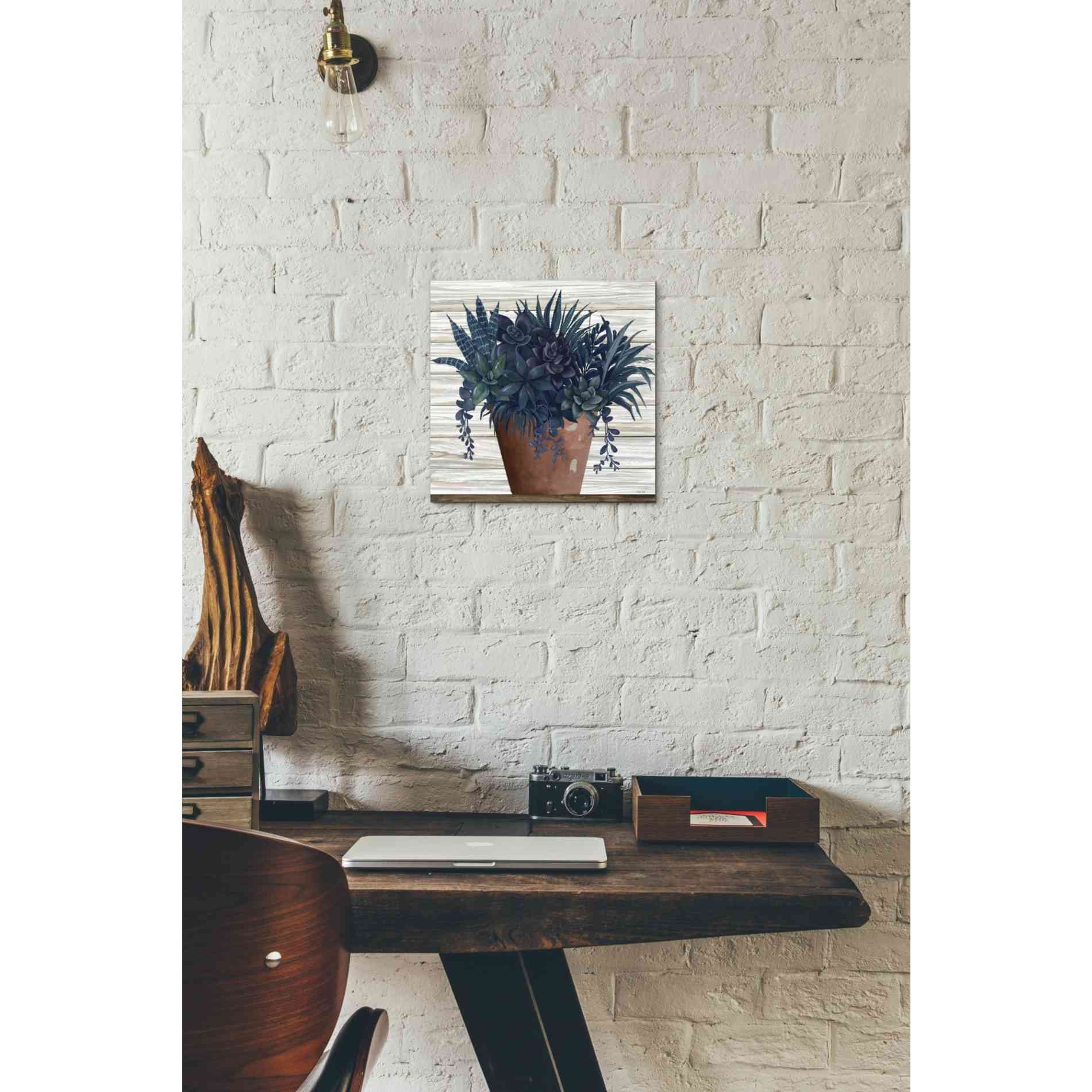 'Remarkable Succulents II' by Cindy Jacobs, Canvas Wall Art,12 x 12