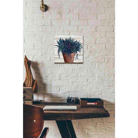 Image of 'Remarkable Succulents II' by Cindy Jacobs, Giclee Canvas Wall Art