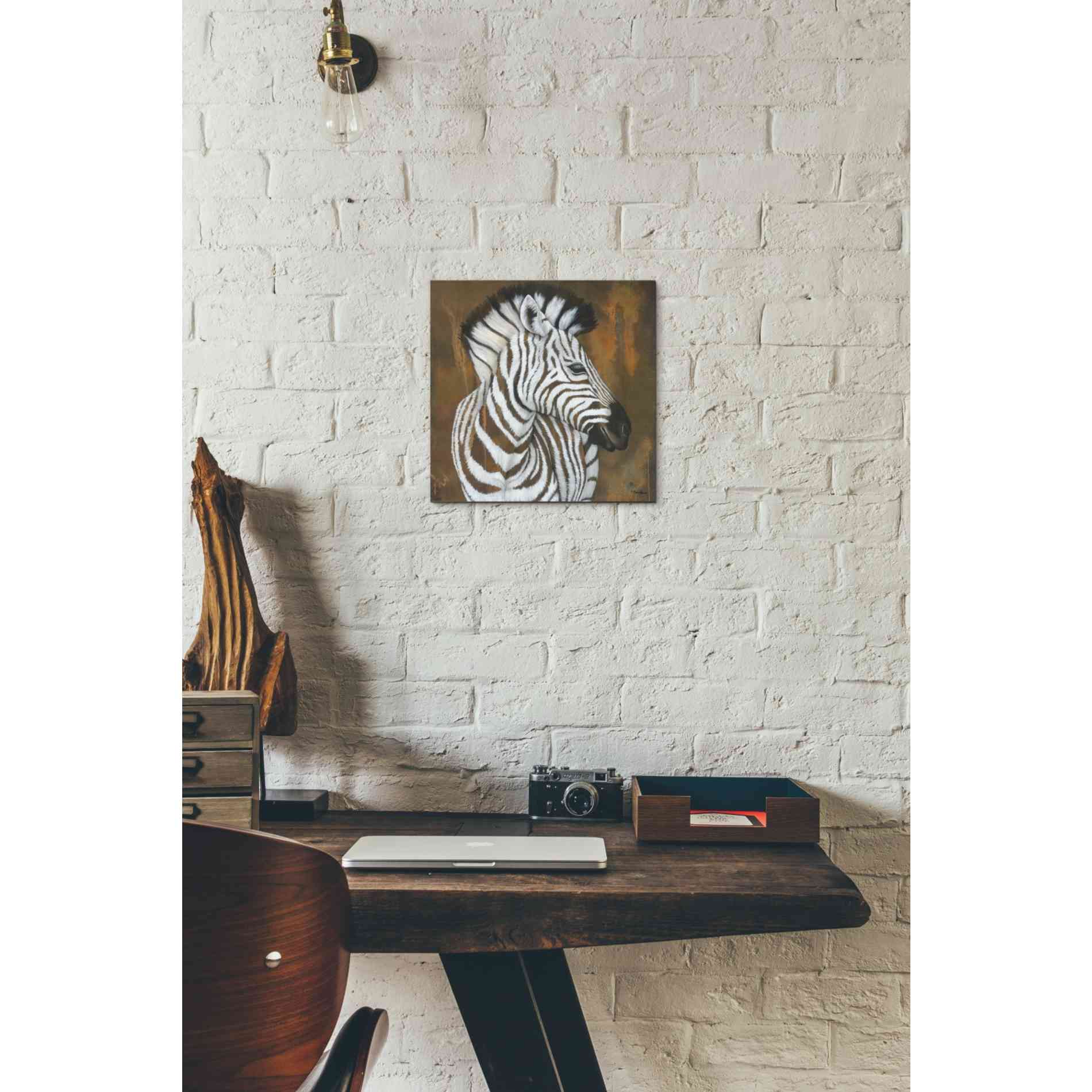 'Serengeti Rock Star' by Britt Hallowell, Canvas Wall Art,12 x 12