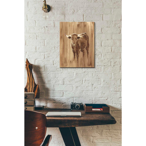 Image of 'Wood Panel Longhorn' by Ethan Harper Canvas Wall Art,12 x 16