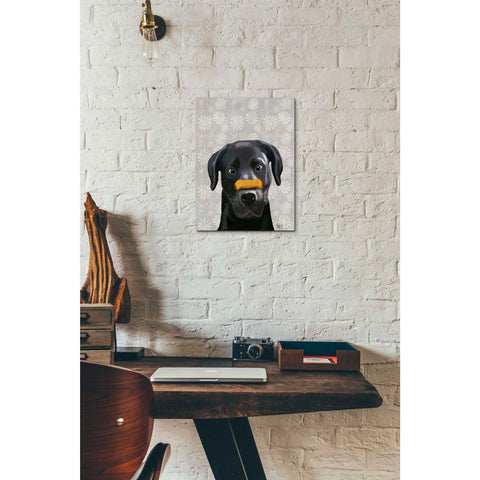 Image of 'Black Labrador With Bone on Nose' by Fab Funky, Giclee Canvas Wall Art