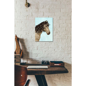 'Horse Buckskin with Jewelled Bridle' by Fab Funky, Giclee Canvas Wall Art