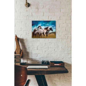 'Starry Night Horse Herd' by Bluebird Barn, Canvas Wall Art,16 x 12